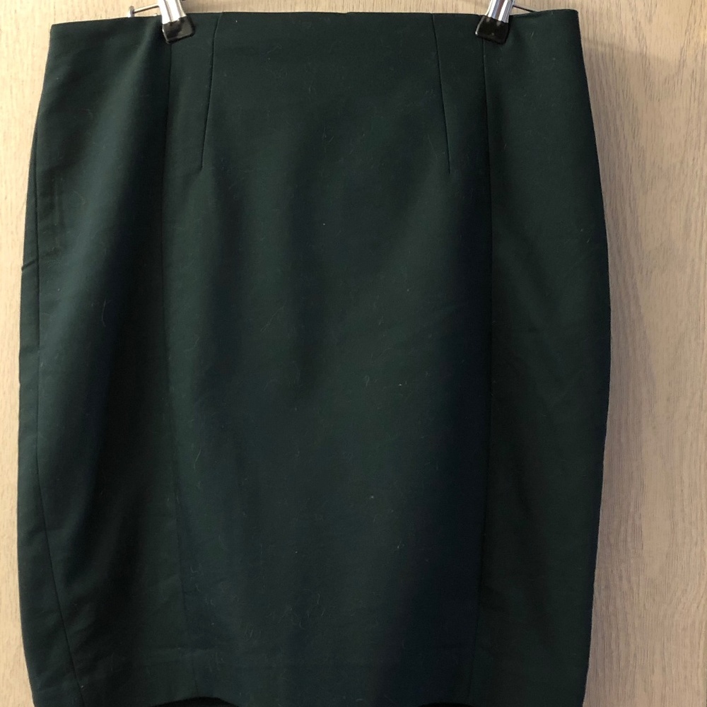Express Pencil Skirt